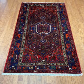 Persian Hand-knotted Hamadan Wool Rug (4'5 x 7'2)