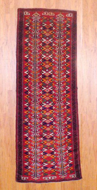 Tribal Persian Hand-knotted Balouchi (3'1 x 8'10)