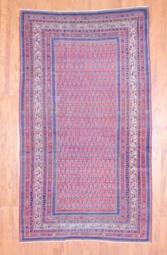 1920's Antique Persian Hand-knotted Hamadan (6'6 x 11'5)