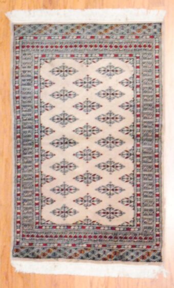 Pakistani Hand-knotted Bokhara (2'6 x 3'11)