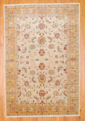 Afghan Hand-knotted Vegetable Dye (6'1 x 9')