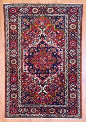 Persian Hand-knotted Bakhtiari (5' x 7')
