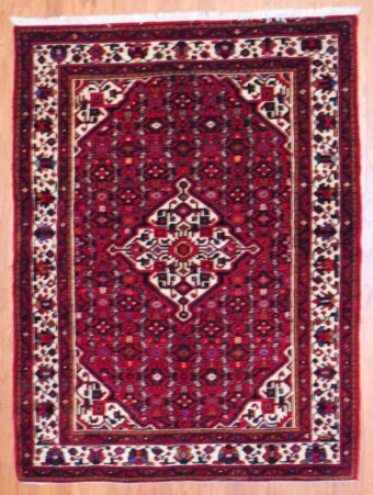 Persian Hand-knotted Hamadan (5'3 x 7')