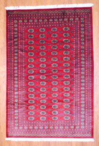 Pakistani Hand-knotted Bokhara (6' x 9')