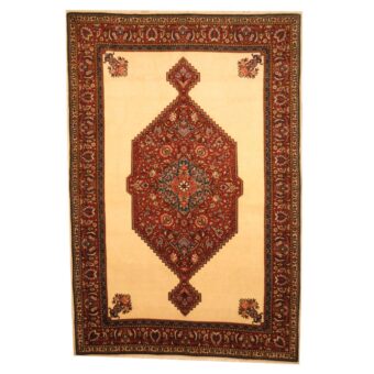 Persian Hand-knotted Bakhtiari (6'9 x 10')