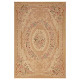 Asian Hand-woven Aubusson Wool Rug (4' x 6')