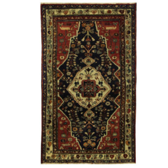 Persian Hand-knotted Hamadan Wool Rug (4'2 x 6'11)